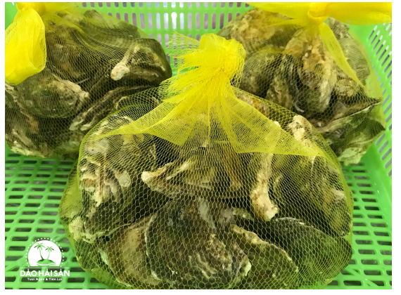 (HỘ KINH DOANH) NGUYỄN MAI TRINH