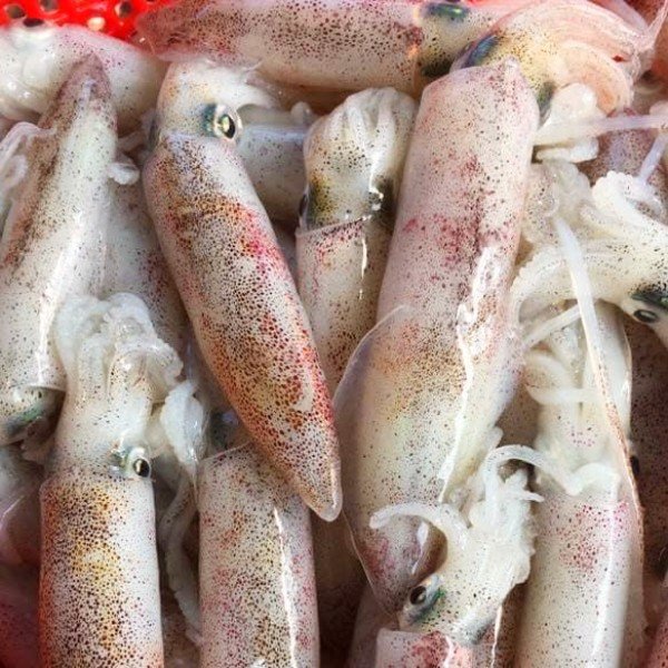 (HỘ KINH DOANH) NGUYỄN MAI TRINH