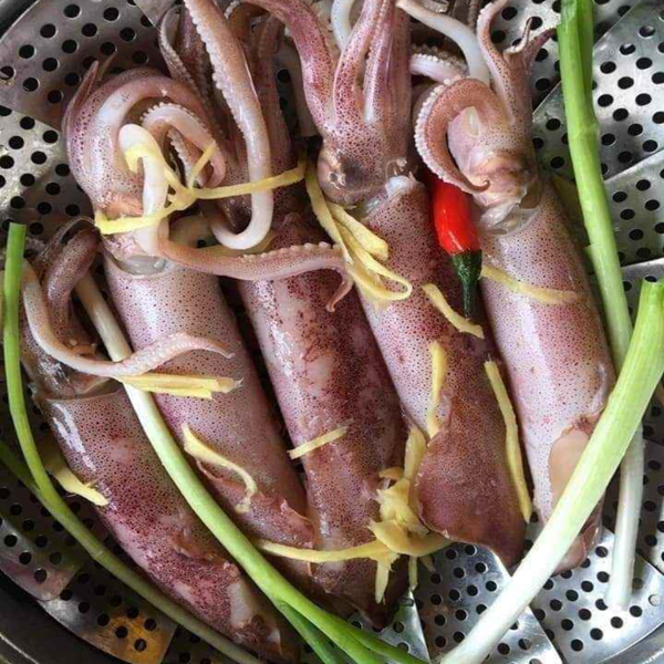 (HỘ KINH DOANH) NGUYỄN MAI TRINH