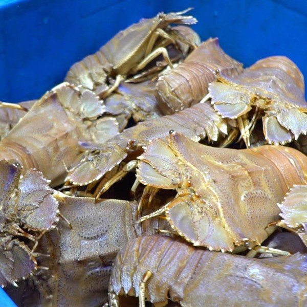 (HỘ KINH DOANH) NGUYỄN MAI TRINH