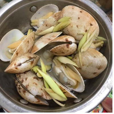 Ngao Hai Cồi (Sống)