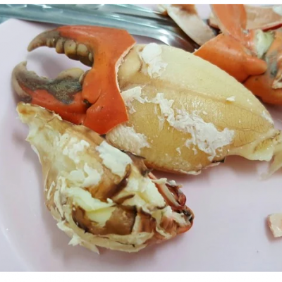 Món Ăn Ngon Từ Hải Sản 2