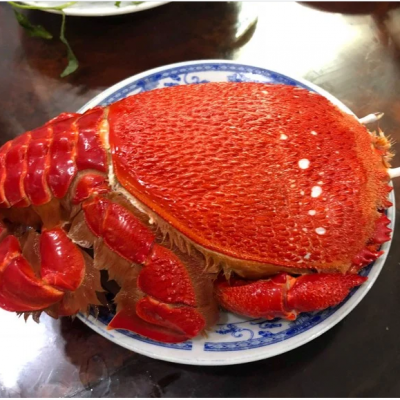 Món Ăn Ngon Từ Cua 6