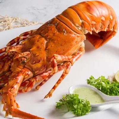 Hải Sản Ngoại Nhập Tươi Sống 8